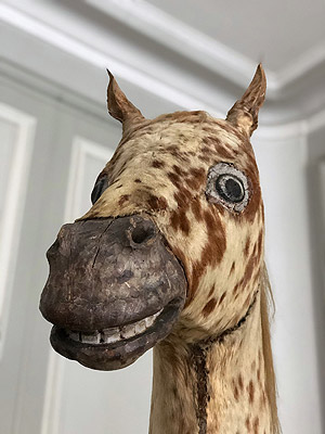 Picture: Stuffed horse in the Ansbach Residence