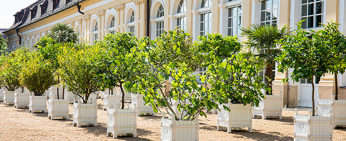 Bild: Orangerie