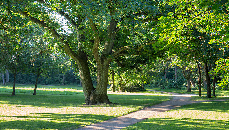 Bild: Spazierweg im Hofgarten Ansbach