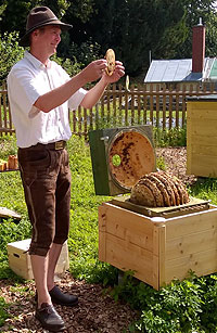 Link to enlarged picture