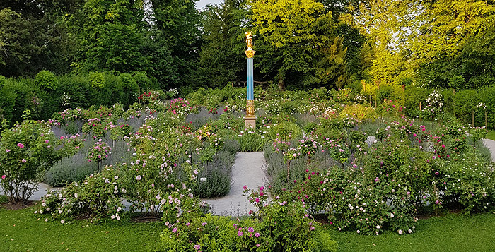 Bild: Rosarium auf der Roseninsel