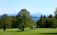 Link to enlarged picture