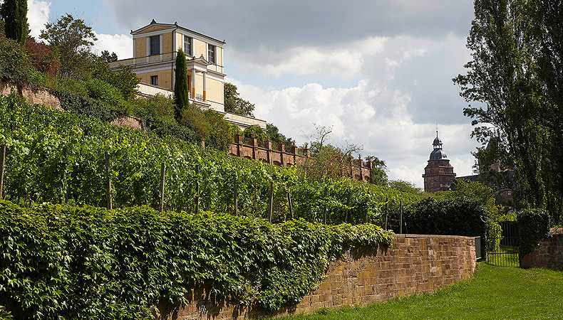 Pompeiianum and vineyard