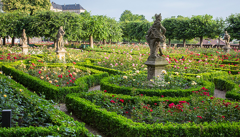 Rose Garden Bamberg