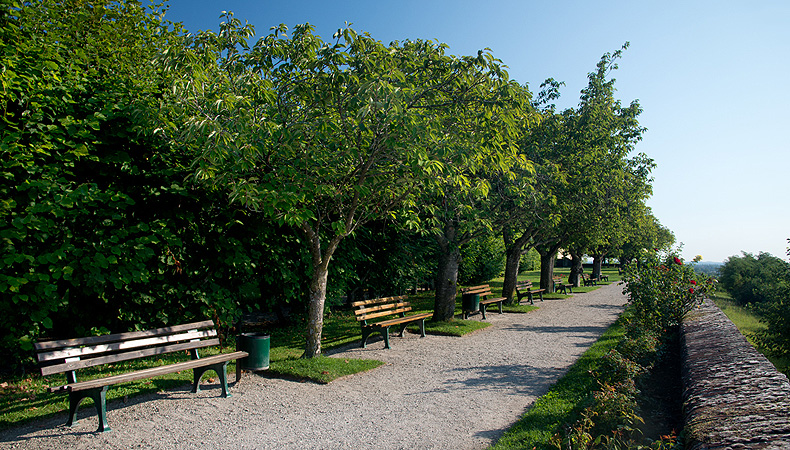 Panorama path