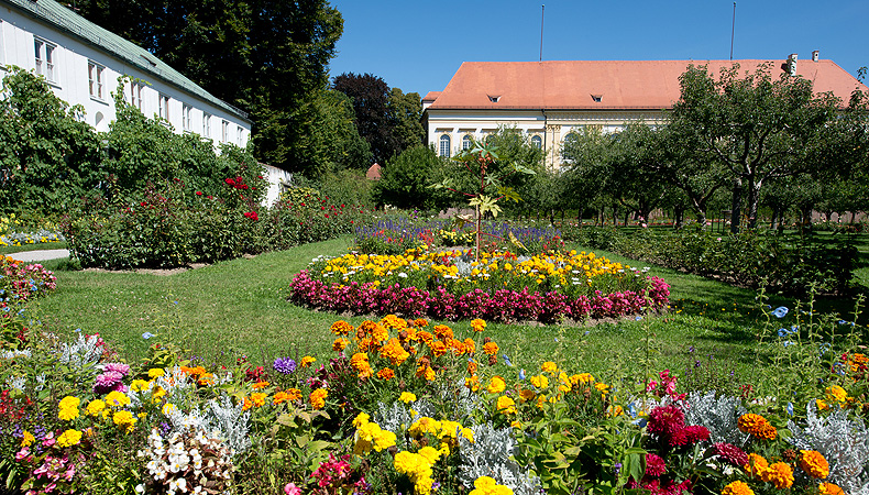 Flowerbeds