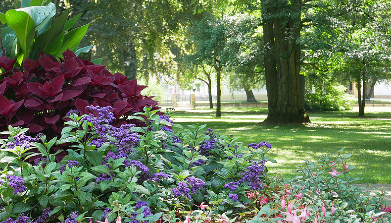 Picture: Ellingen Palace Park