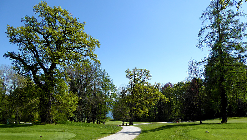 Picture: Feldafing Park