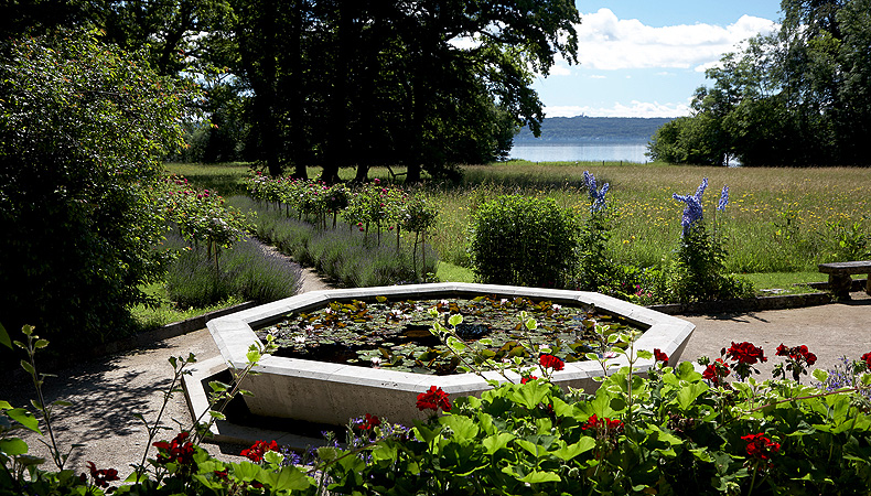 Fountain with water lilies in front of the house