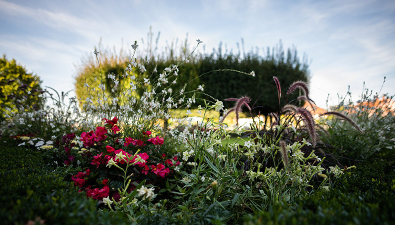 Burggarten auf der Kaiserburg