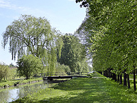 Link to enlarged picture