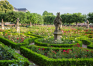 Link to Bamberg Rose Garden