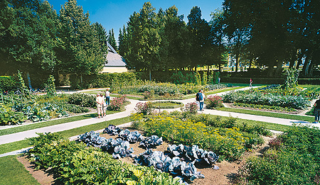 Bild: Küchengarten