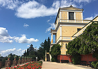 Link zum Pompejanum
