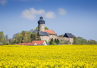 Link to Zwernitz Castle