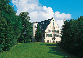 Link to Rosenau Palace