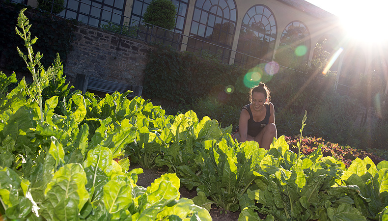 Picture: Würzburg Court Garden, gardener in the kitchen garden