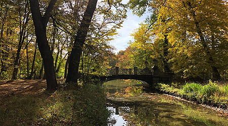 Bild: Der Schlosspark Nymphenburg im Herbst